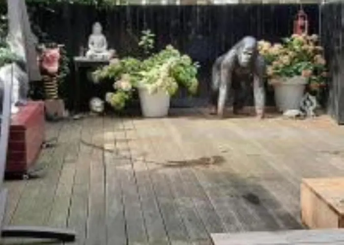 Beautiful With Asian Style Bedroom Near Rai & Center 4*